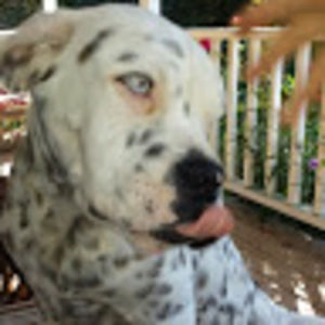 Meet your Posher, Alexandra